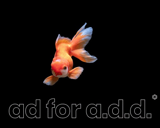 Hungry Minds organise AD for A.D.D. le 13 février