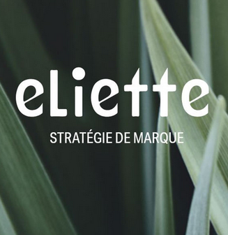 Le groupe Sud Ouest lance Eliette, sa nouvelle agence de communication