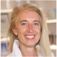 E-commerce in coronatijden: “Elke dag was Black Friday”