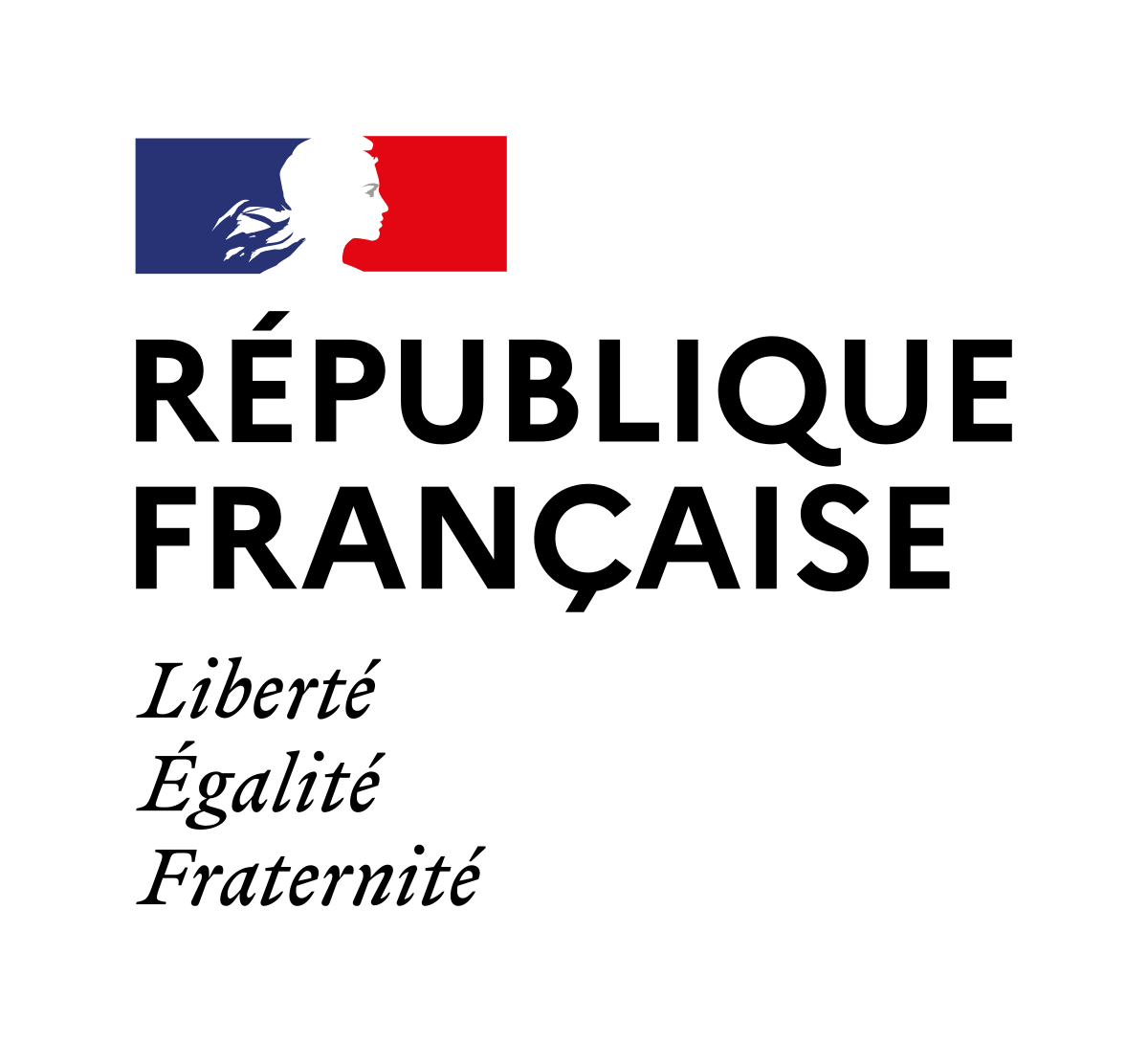 Le gouvernement précise les conditions de création d’un marché publicitaire plus équitable
