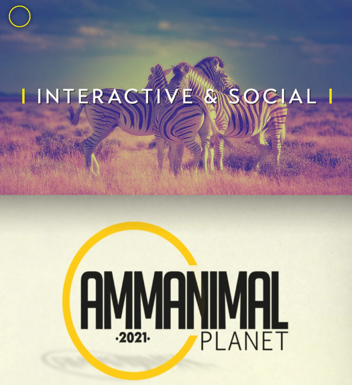 AMMA 2021 : Retour sur les dossiers sélectionnés dans la catégorie ‘Best Use of Interactive & Social’