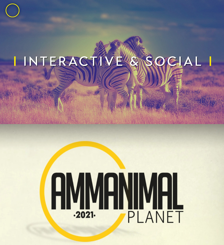 AMMA 2021 : Retour sur les dossiers sélectionnés dans la catégorie ‘Best Use of Interactive & Social’