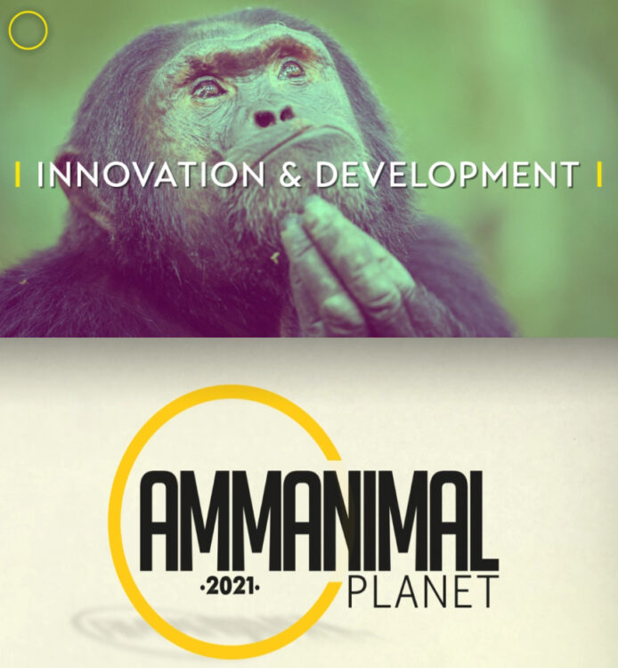 AMMA 2021: De genomineerden in de categorie ‘Innovation & Development’
