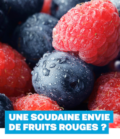 “Lire un magazine fait naître l’envie” – WE MEDIA, la fédération professionnelle des magazines, met à l’honneur les spécificités des magazines
