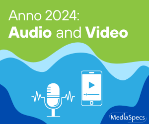 Anno 2024: mediumtype Radio/TV wordt opgesplitst in Audio en Video