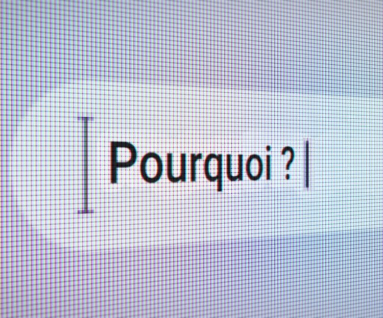 “Pourquoi?”, l’incontournable question pour comprendre