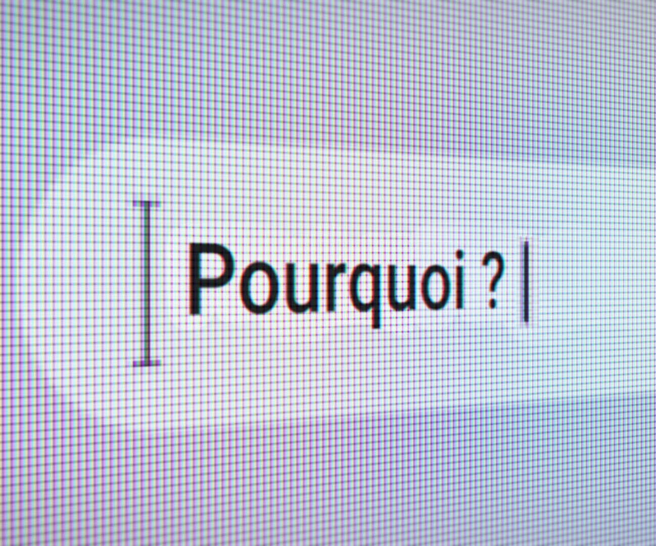 “Pourquoi?”, l’incontournable question pour comprendre