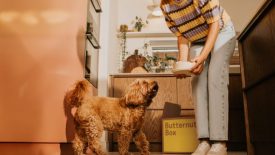 Butternut Box choisit Team Lewis comme partenaire en relations publiques