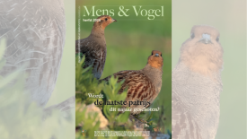 Vogelbescherming Vlaanderen confie sa régie publicitaire à Moïzo Media